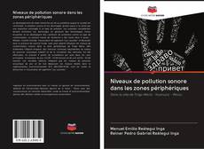 Buchcover von Niveaux de pollution sonore dans les zones périphériques