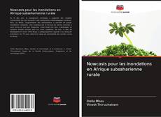 Buchcover von Nowcasts pour les inondations en Afrique subsaharienne rurale