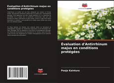 Couverture de Évaluation d'Antirrhinum majus en conditions protégées