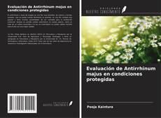 Bookcover of Evaluación de Antirrhinum majus en condiciones protegidas