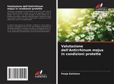 Bookcover of Valutazione dell'Antirrhinum majus in condizioni protette