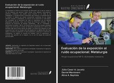 Copertina di Evaluación de la exposición al ruido ocupacional: Metalurgia