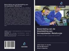 Capa do livro de Beoordeling van de blootstelling aan beroepslawaai: Metallurgie 