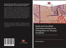 Bookcover of Quels sont les effets macroéconomiques de l'émigration sur les pays d'origine?