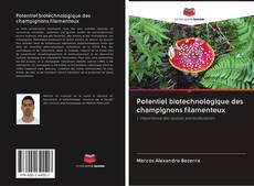 Обложка Potentiel biotechnologique des champignons filamenteux