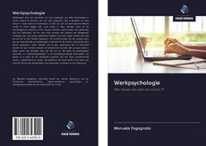 Werkpsychologie的封面