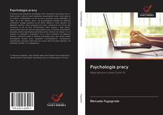 Psychologia pracy的封面