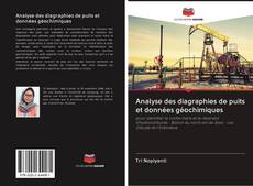 Capa do livro de Analyse des diagraphies de puits et données géochimiques 