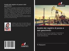 Buchcover von Analisi del registro di pozzo e dati geochimici