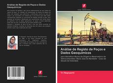 Análise de Registo de Poços e Dados Geoquímicos kitap kapağı