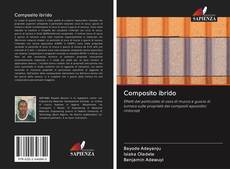 Composito ibrido kitap kapağı