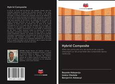 Capa do livro de Hybrid Composite 