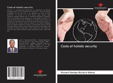 Costs of holistic security kitap kapağı