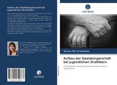 Bookcover of Aufbau der Staatsbürgerschaft bei jugendlichen Straftätern