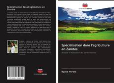 Spécialisation dans l'agriculture en Zambie kitap kapağı