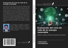 Обложка Evaluación del ciclo de vida de la energía renovable