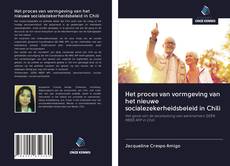 Het proces van vormgeving van het nieuwe socialezekerheidsbeleid in Chili的封面