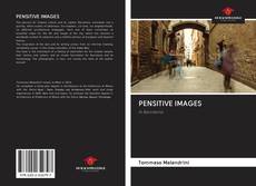 Bookcover of PENSITIVE IMAGES