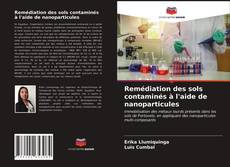 Capa do livro de Remédiation des sols contaminés à l'aide de nanoparticules 