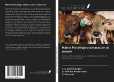 Buchcover von Matriz Metalloproteinasas en el semen
