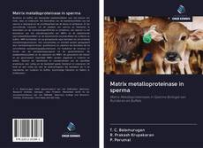 Bookcover of Matrix metalloproteinase in sperma