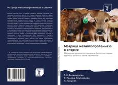 Buchcover von Матрица металлопротеиназа в сперме