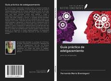 Bookcover of Guía práctica de adelgazamiento