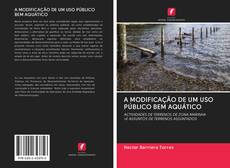 Buchcover von A MODIFICAÇÃO DE UM USO PÚBLICO BEM AQUÁTICO