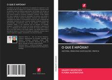 Bookcover of O QUE É HIPÓXIA?