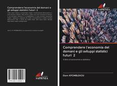 Comprendere l'economia del domani e gli sviluppi statistici futuri 2 kitap kapağı