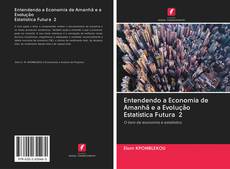 Entendendo a Economia de Amanhã e a Evolução Estatística Futura 2 kitap kapağı