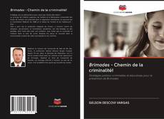 Capa do livro de Brimades - Chemin de la criminalité! 