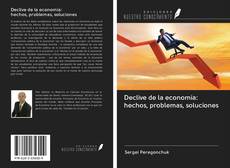 Declive de la economía: hechos, problemas, soluciones kitap kapağı