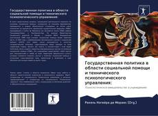 Государственная политика в области социальной помощи и технического психологического управления: kitap kapağı