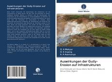 Portada del libro de Auswirkungen der Gully-Erosion auf Infrastrukturen