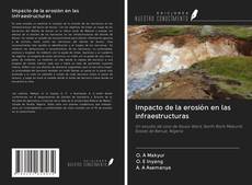 Bookcover of Impacto de la erosión en las infraestructuras