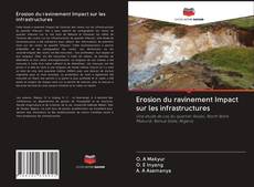 Erosion du ravinement Impact sur les infrastructures kitap kapağı