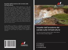 Buchcover von Impatto dell'erosione del canale sulle infrastrutture