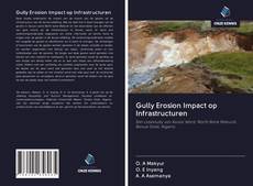 Gully Erosion Impact op Infrastructuren的封面