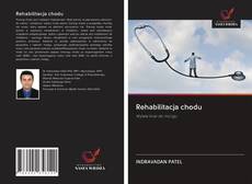 Rehabilitacja chodu kitap kapağı