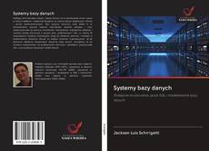 Systemy bazy danych的封面