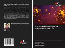Capa do livro de Il virus Corona Una grande minaccia del 2019-20 