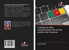 Bookcover of Il Quagmire della remunerazione del servizio pubblico del Camerun