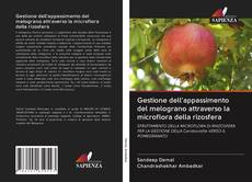 Bookcover of Gestione dell'appassimento del melograno attraverso la microflora della rizosfera