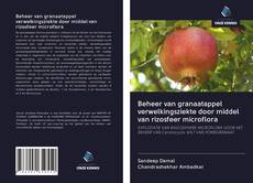 Buchcover von Beheer van granaatappel verwelkingsziekte door middel van rizosfeer microflora