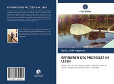 REFINIEREN DES PROZESSES IM LEBEN的封面