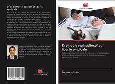 Bookcover of Droit du travail collectif et liberté syndicale