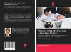 Direito do Trabalho Colectivo e Liberdade Sindical kitap kapağı