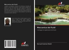 Bookcover of Meccanica dei fluidi