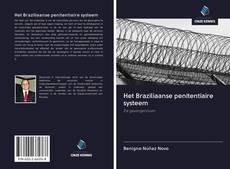 Bookcover of Het Braziliaanse penitentiaire systeem